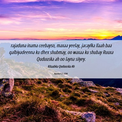 Picture 06 - Rooma 5:5 SOM - rajaduna inama ceebayso, maxaa yeelay, jacaylka - Bible Verse Picture