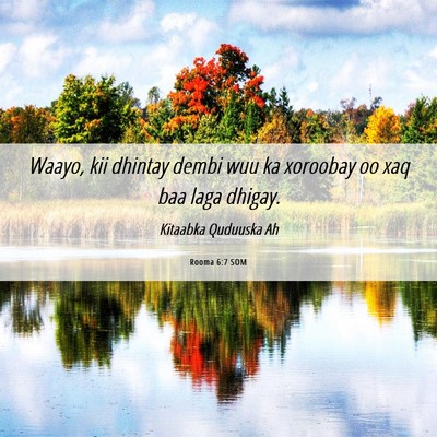 Picture 06 - Rooma 6:7 SOM - Waayo, kii dhintay dembi wuu ka xoroobay oo xaq - Bible Verse Picture