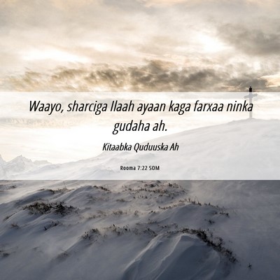 Picture 06 - Rooma 7:22 SOM - Waayo, sharciga Ilaah ayaan kaga farxaa ninka - Bible Verse Picture