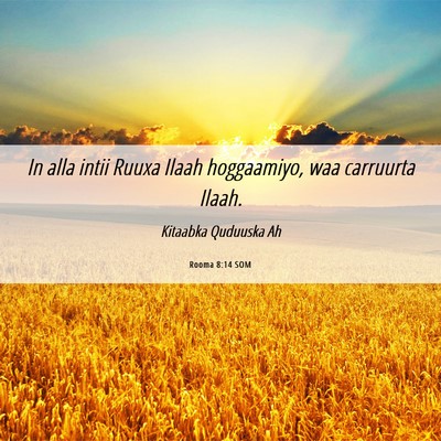 Picture 06 - Rooma 8:14 SOM - In alla intii Ruuxa Ilaah hoggaamiyo, waa - Bible Verse Picture