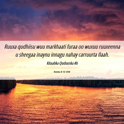 Picture 06 - Rooma 8:16 SOM - Ruuxa qudhiisu wuu markhaati furaa oo wuxuu - Bible Verse Picture