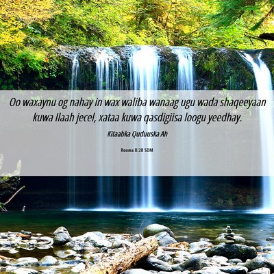 Picture 06 - Rooma 8:28 SOM - Oo waxaynu og nahay in wax waliba wanaag ugu wada - Bible Verse Picture