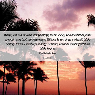 Picture 06 - Rooma 8:3 SOM - Waayo, wax aan sharcigu samayn karayn, maxaa - Bible Verse Picture