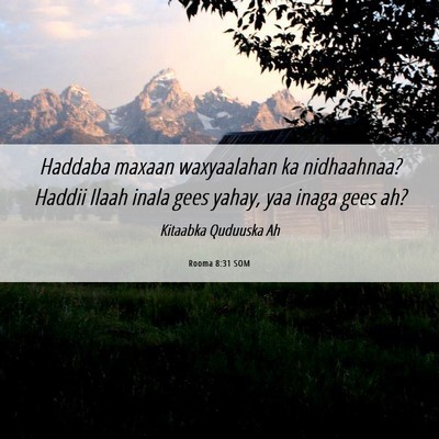 Picture 06 - Rooma 8:31 SOM - Haddaba maxaan waxyaalahan ka nidhaahnaa? Haddii - Bible Verse Picture