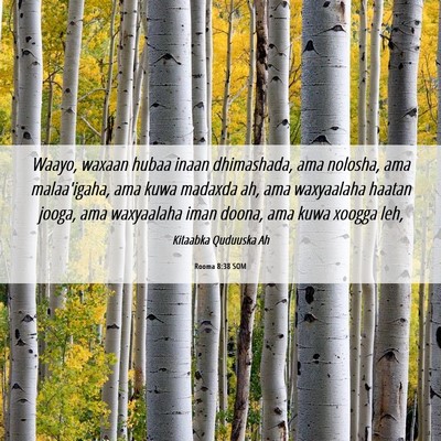 Picture 06 - Rooma 8:38 SOM - Waayo, waxaan hubaa inaan dhimashada, ama - Bible Verse Picture