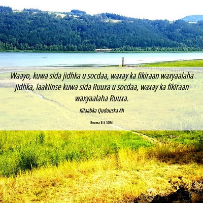 Picture 06 - Rooma 8:5 SOM - Waayo, kuwa sida jidhka u socdaa, waxay ka - Bible Verse Picture