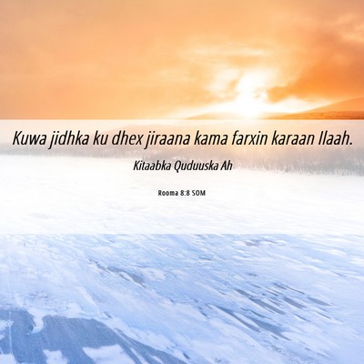 Picture 06 - Rooma 8:8 SOM - Kuwa jidhka ku dhex jiraana kama farxin karaan - Bible Verse Picture