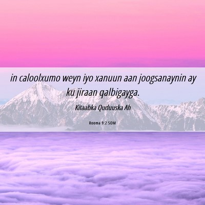 Picture 06 - Rooma 9:2 SOM - in caloolxumo weyn iyo xanuun aan joogsanaynin ay - Bible Verse Picture