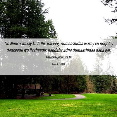 Picture 06 - Ruud 1:15 SOM - Oo Nimco waxay ku tidhi, Bal eeg, dumaashidaa - Bible Verse Picture