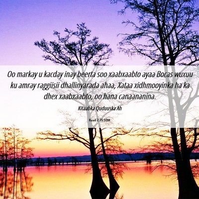Picture 06 - Ruud 2:15 SOM - Oo markay u kacday inay beerta soo xaabxaabto - Bible Verse Picture