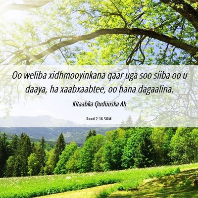Picture 06 - Ruud 2:16 SOM - Oo weliba xidhmooyinkana qaar uga soo siiba oo u - Bible Verse Picture