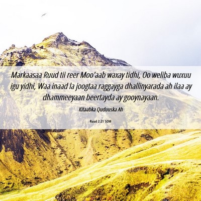 Picture 06 - Ruud 2:21 SOM - Markaasaa Ruud tii reer Moo'aab waxay tidhi, Oo - Bible Verse Picture