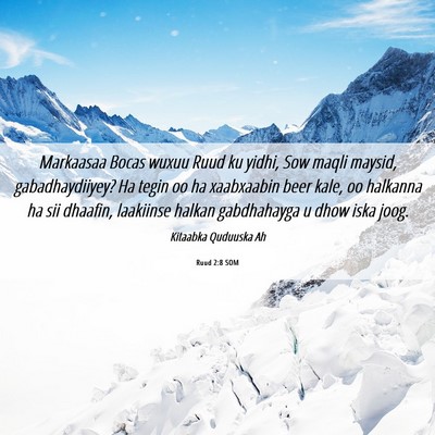 Picture 06 - Ruud 2:8 SOM - Markaasaa Bocas wuxuu Ruud ku yidhi, Sow maqli - Bible Verse Picture