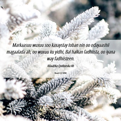 Picture 06 - Ruud 4:2 SOM - Markaasuu wuxuu soo kaxaystay toban nin oo - Bible Verse Picture