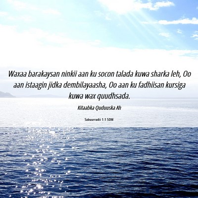 Picture 06 - Sabuurradii 1:1 SOM - Waxaa barakaysan ninkii aan ku socon talada kuwa - Bible Verse Picture