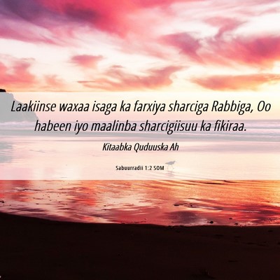 Picture 06 - Sabuurradii 1:2 SOM - Laakiinse waxaa isaga ka farxiya sharciga - Bible Verse Picture