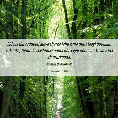 Picture 06 - Sabuurradii 1:5 SOM - Sidaas daraaddeed kuwa sharka lahu isma dhex - Bible Verse Picture