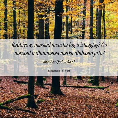 Picture 06 - Sabuurradii 10:1 SOM - Rabbiyow, maxaad meesha fog u istaagtay? Oo - Bible Verse Picture