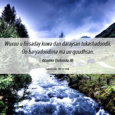 Picture 06 - Sabuurradii 102:17 SOM - Wuxuu u fiirsaday kuwa dan daraysan - Bible Verse Picture
