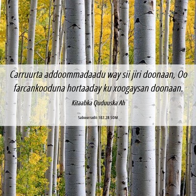 Picture 06 - Sabuurradii 102:28 SOM - Carruurta addoommadaadu way sii jiri doonaan, Oo - Bible Verse Picture