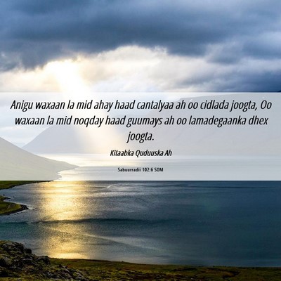 Picture 06 - Sabuurradii 102:6 SOM - Anigu waxaan la mid ahay haad cantalyaa ah oo - Bible Verse Picture