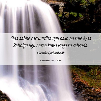 Picture 06 - Sabuurradii 103:13 SOM - Sida aabbe carruurtiisa ugu naxo oo kale Ayaa - Bible Verse Picture