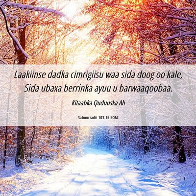 Picture 06 - Sabuurradii 103:15 SOM - Laakiinse dadka cimrigiisu waa sida doog oo kale, - Bible Verse Picture