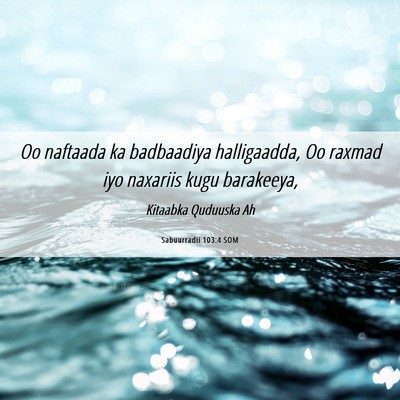 Picture 06 - Sabuurradii 103:4 SOM - Oo naftaada ka badbaadiya halligaadda, Oo raxmad - Bible Verse Picture