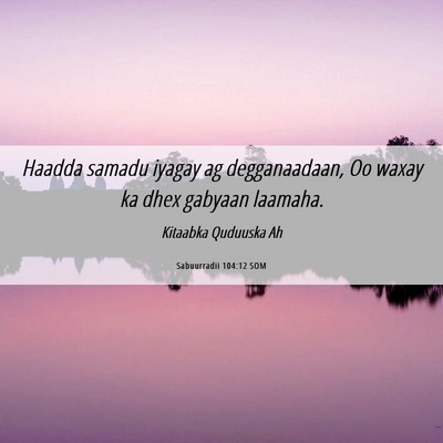 Picture 06 - Sabuurradii 104:12 SOM - Haadda samadu iyagay ag degganaadaan, Oo waxay ka - Bible Verse Picture