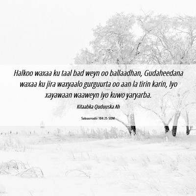 Picture 06 - Sabuurradii 104:25 SOM - Halkoo waxaa ku taal bad weyn oo ballaadhan, - Bible Verse Picture
