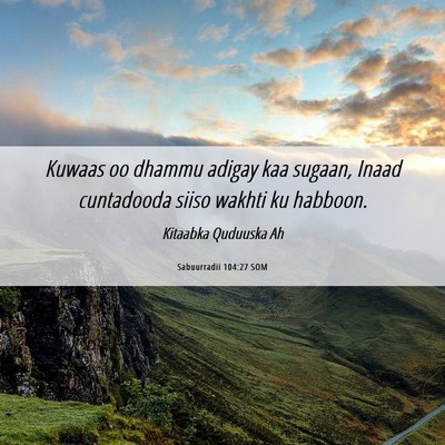 Picture 06 - Sabuurradii 104:27 SOM - Kuwaas oo dhammu adigay kaa sugaan, Inaad - Bible Verse Picture