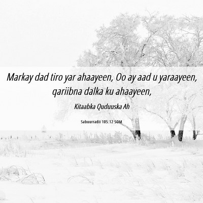 Picture 06 - Sabuurradii 105:12 SOM - Markay dad tiro yar ahaayeen, Oo ay aad u - Bible Verse Picture
