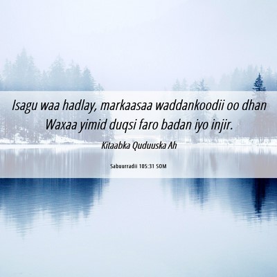 Picture 06 - Sabuurradii 105:31 SOM - Isagu waa hadlay, markaasaa waddankoodii oo dhan - Bible Verse Picture