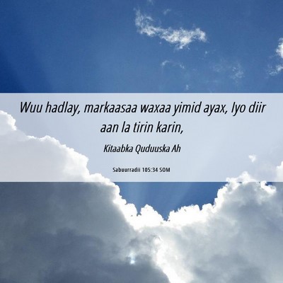 Picture 06 - Sabuurradii 105:34 SOM - Wuu hadlay, markaasaa waxaa yimid ayax, Iyo diir - Bible Verse Picture