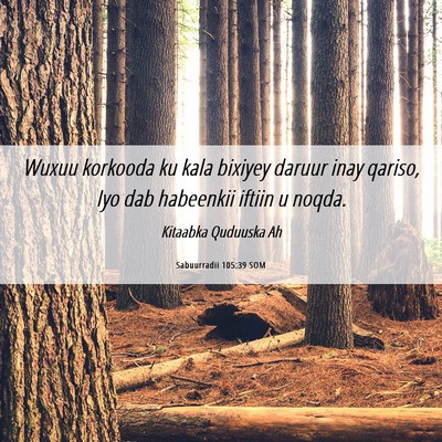 Picture 06 - Sabuurradii 105:39 SOM - Wuxuu korkooda ku kala bixiyey daruur inay - Bible Verse Picture
