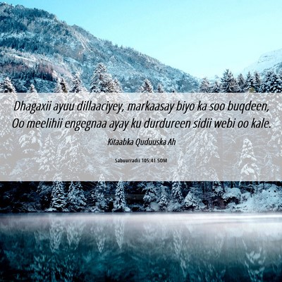 Picture 06 - Sabuurradii 105:41 SOM - Dhagaxii ayuu dillaaciyey, markaasay biyo ka soo - Bible Verse Picture
