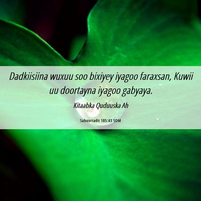 Picture 06 - Sabuurradii 105:43 SOM - Dadkiisiina wuxuu soo bixiyey iyagoo faraxsan, - Bible Verse Picture