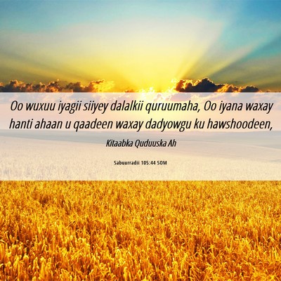 Picture 06 - Sabuurradii 105:44 SOM - Oo wuxuu iyagii siiyey dalalkii quruumaha, Oo - Bible Verse Picture