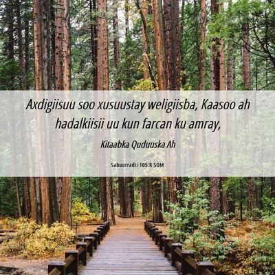 Picture 06 - Sabuurradii 105:8 SOM - Axdigiisuu soo xusuustay weligiisba, Kaasoo ah - Bible Verse Picture