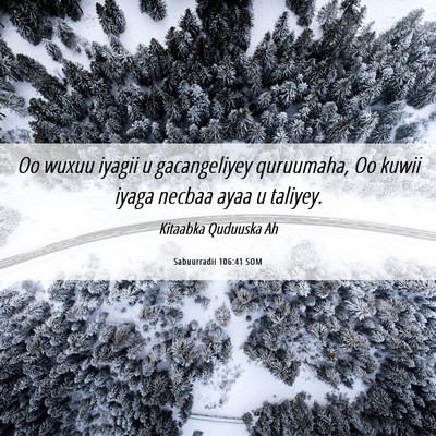 Picture 06 - Sabuurradii 106:41 SOM - Oo wuxuu iyagii u gacangeliyey quruumaha, Oo - Bible Verse Picture