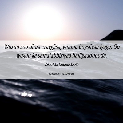 Picture 06 - Sabuurradii 107:20 SOM - Wuxuu soo diraa eraygiisa, wuuna bogsiiyaa iyaga, - Bible Verse Picture