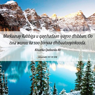 Picture 06 - Sabuurradii 107:28 SOM - Markaasay Rabbiga u qayshadaan iyagoo dhibban, Oo - Bible Verse Picture