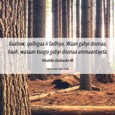 Picture 06 - Sabuurradii 108:1 SOM - Ilaahow, qalbigaa ii fadhiya, Waan gabyi doonaa, - Bible Verse Picture