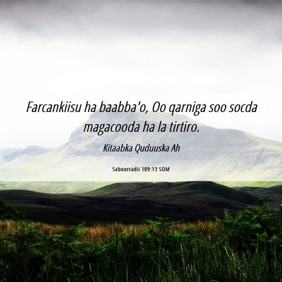 Picture 06 - Sabuurradii 109:13 SOM - Farcankiisu ha baabba'o, Oo qarniga soo socda - Bible Verse Picture