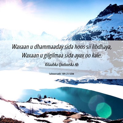 Picture 06 - Sabuurradii 109:23 SOM - Waxaan u dhammaaday sida hoos sii libdhaya, - Bible Verse Picture