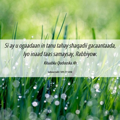 Picture 06 - Sabuurradii 109:27 SOM - Si ay u ogaadaan in tanu tahay shaqadii - Bible Verse Picture