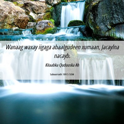 Picture 06 - Sabuurradii 109:5 SOM - Wanaag waxay iigaga abaalgudeen xumaan, Jacaylna - Bible Verse Picture