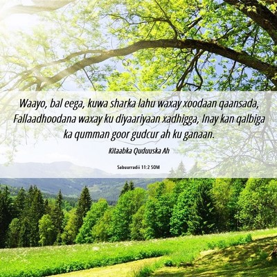 Picture 06 - Sabuurradii 11:2 SOM - Waayo, bal eega, kuwa sharka lahu waxay xoodaan - Bible Verse Picture