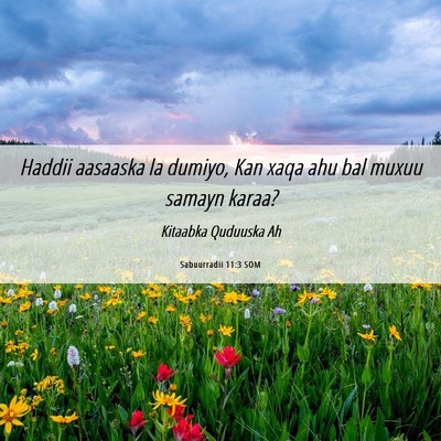 Picture 06 - Sabuurradii 11:3 SOM - Haddii aasaaska la dumiyo, Kan xaqa ahu bal muxuu - Bible Verse Picture