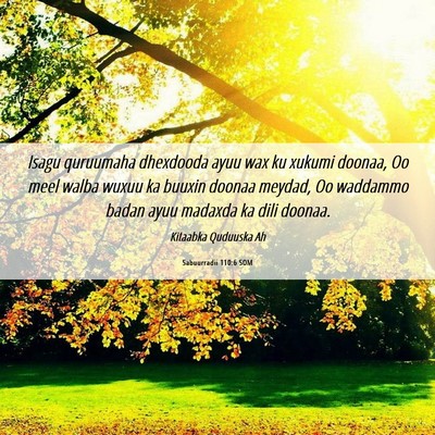 Picture 06 - Sabuurradii 110:6 SOM - Isagu quruumaha dhexdooda ayuu wax ku xukumi - Bible Verse Picture